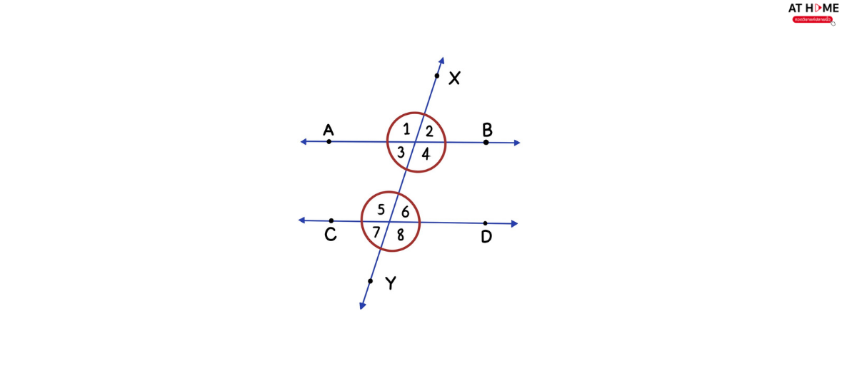 image-5-parallel