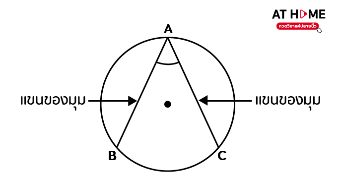 image4-circle-jpg